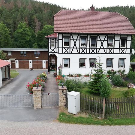 Fewo An Der Klosterruine Paulinzella Mit Kostenfreien Parkplatz Und Wlan Exterior photo