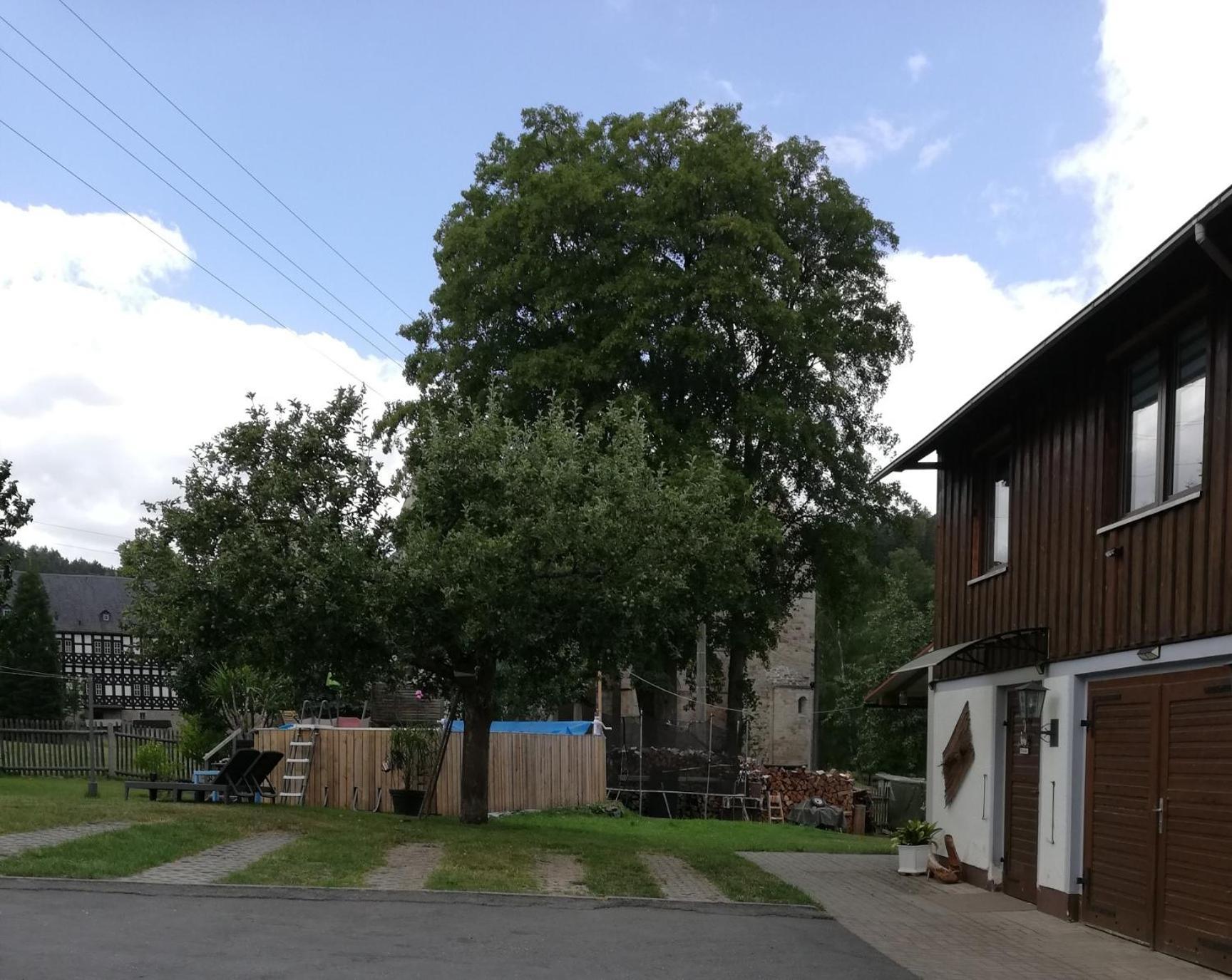 Fewo An Der Klosterruine Paulinzella Mit Kostenfreien Parkplatz Und Wlan Exterior photo