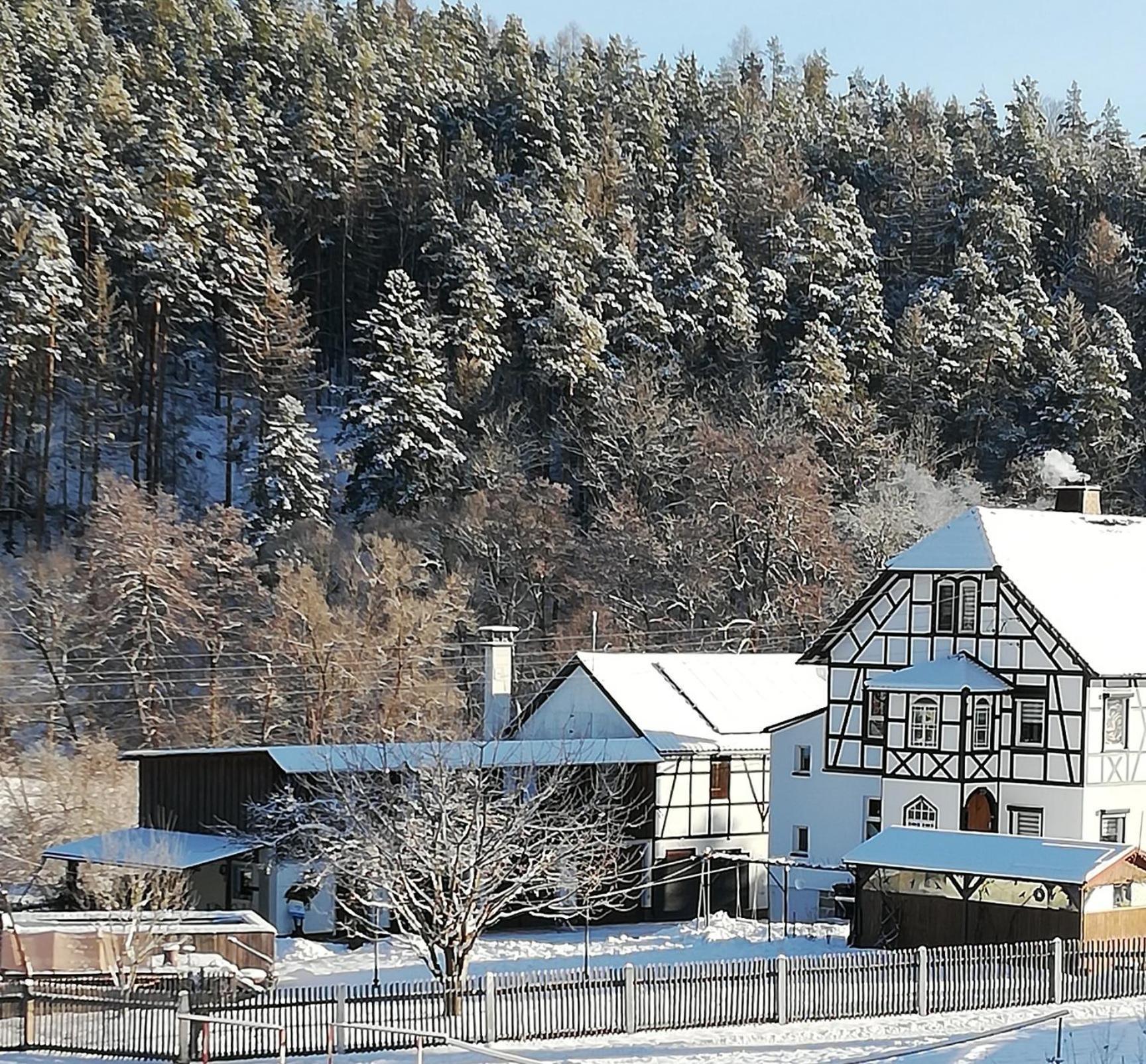 Fewo An Der Klosterruine Paulinzella Mit Kostenfreien Parkplatz Und Wlan Exterior photo
